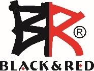 1608268884957687.jpg r&b.jpg